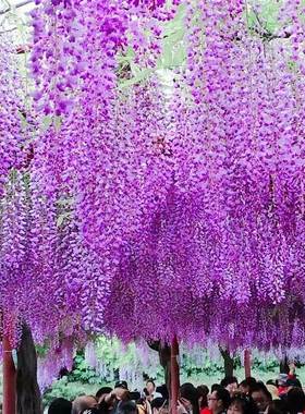 极速Package matchming version of straight hair varieties in