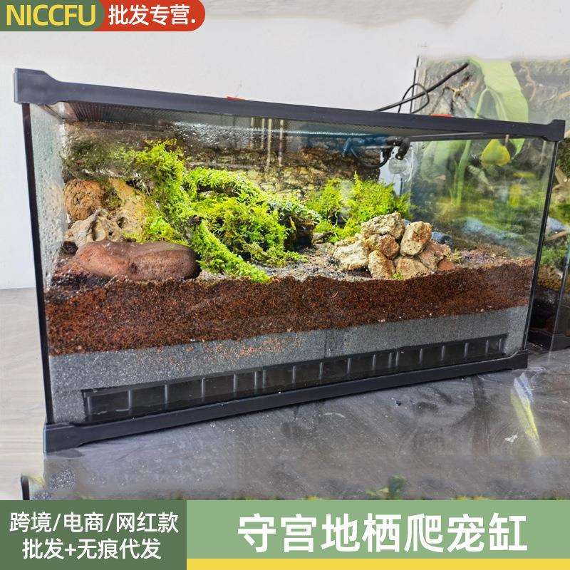 NC蜥石龙子蝾螈爬虫玻璃饲养缸鬃狮蜥蜴爬宠虫热带雨林生态玻璃缸