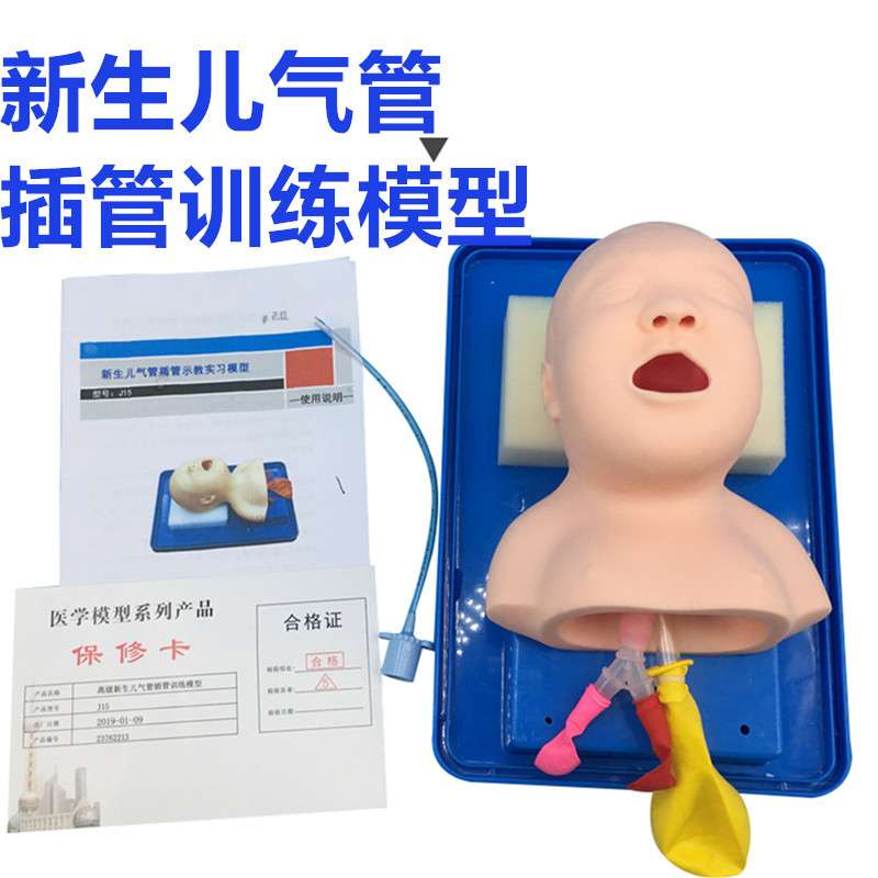 新生儿 气管插管训练模型   新生儿至息复苏时气管插管的操作示教
