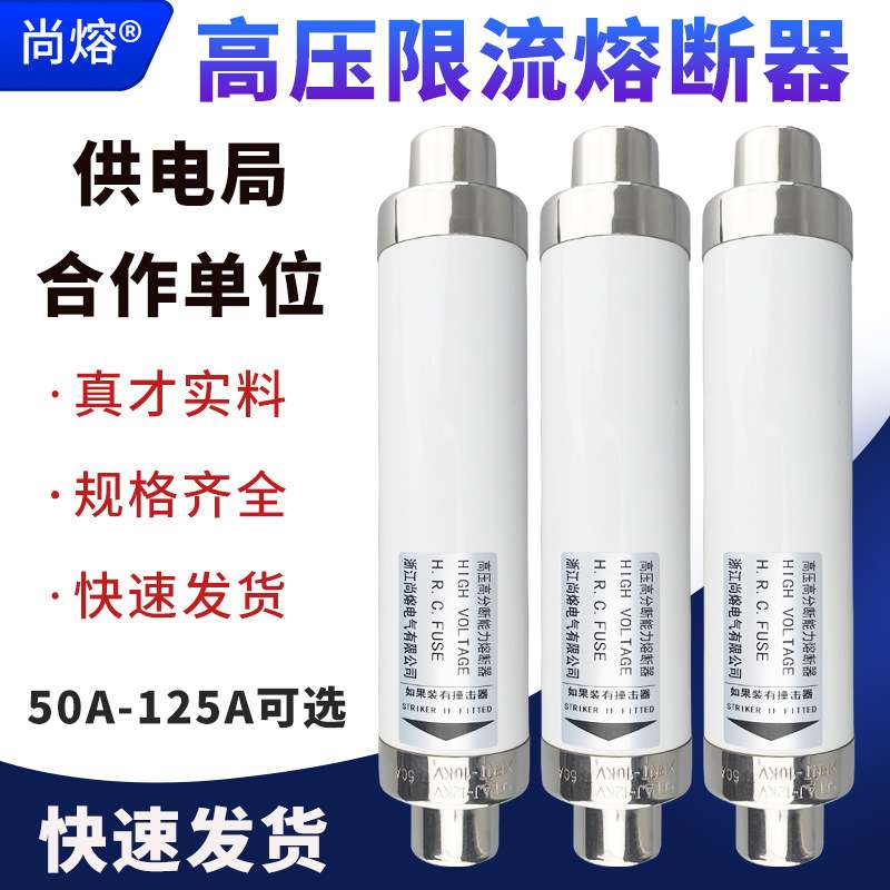 高压保险熔断管XRNT-10KV/50A63A80高分断能力限流箱变熔断器专用