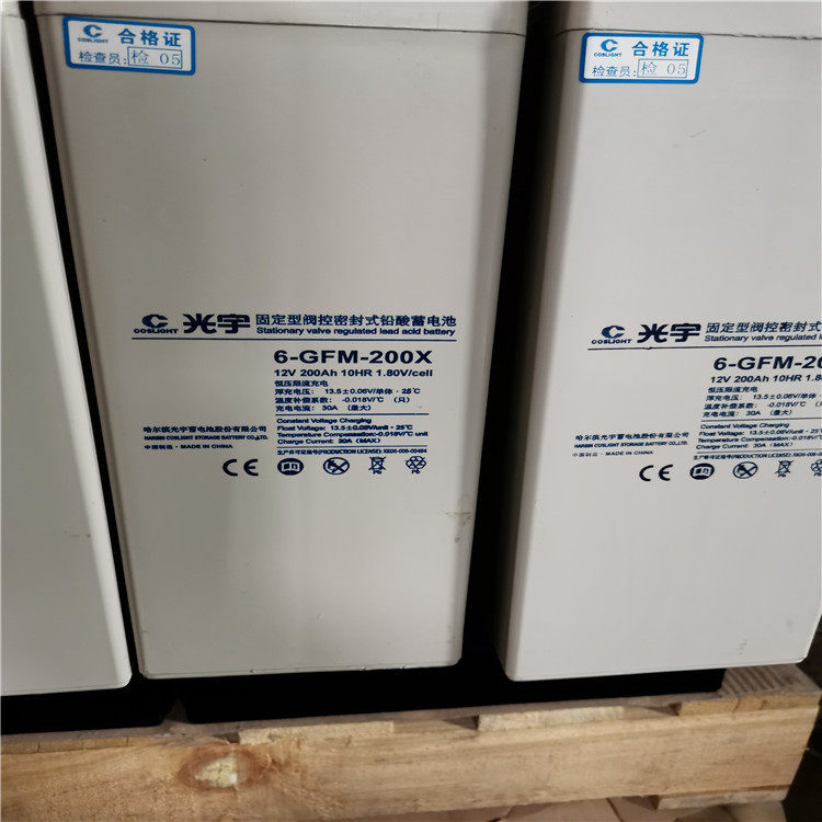光宇蓄电池6-GFM-100X12V100AH免维护不间断电源