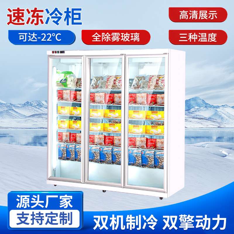 隆雪商用冷冻冷藏展示柜速冻制冷柜超市立式冰柜双门熟食风幕柜