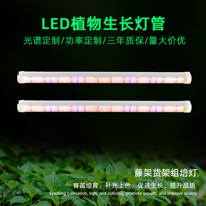龙舌兰盆栽花卉植物补光灯管地上树冠红光660水培增产种植生长灯