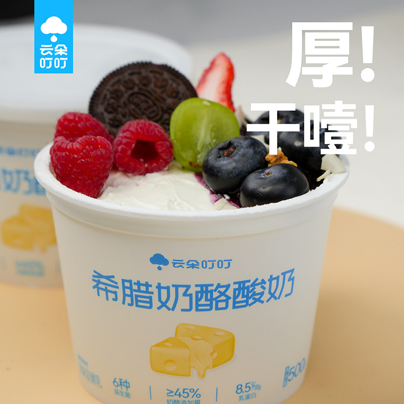 【干噎酸奶】 希腊奶酪酸奶500g/桶干噎酸奶大桶装新升级奶酪酸奶,咖啡/麦片/冲饮,低温酸奶,淘宝优惠券,粉丝福利购,淘宝优惠卷