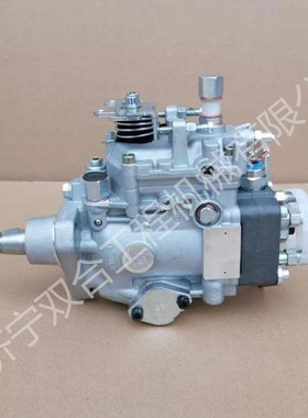 燃油泵504251949 发动机VE泵0460424424