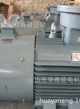 CZKX型空心轴外壳旋转磁粉制动器YDEJ-355M1-2-220电机