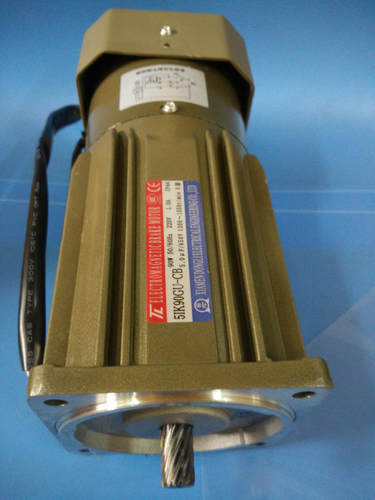 台湾东力40W电机5IK40GN-CB+5GN-40K厦门东历IK型感应电机直销