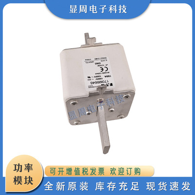 全新保险丝熔断器170M8646 170M8647 170M8648 170M8649 170M8650