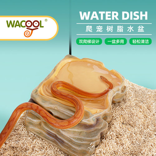 wacool玩酷爬宠水盆爬虫树脂饮水