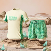 Рисовые зеленые цветы