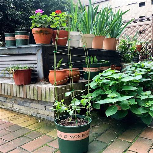 极速花架爬藤架花盆n园艺支架杆山乌龟铁丝造型铁藤架盆植物固定