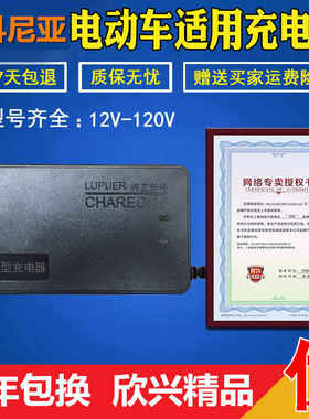 极速尼科尼亚电动车充电器原装24V48V12AAH60V64V72V84V96V20AH通