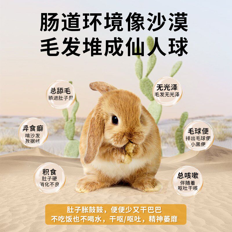 新品碧甜每日野花营m养食品保健草薄荷蒲公英兔子龙猫荷兰猪花草