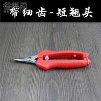 速發(fā)//采果剪葡萄柑橘桔子剪刀修枝剪修花摘果剪柿子家用果樹蔬果