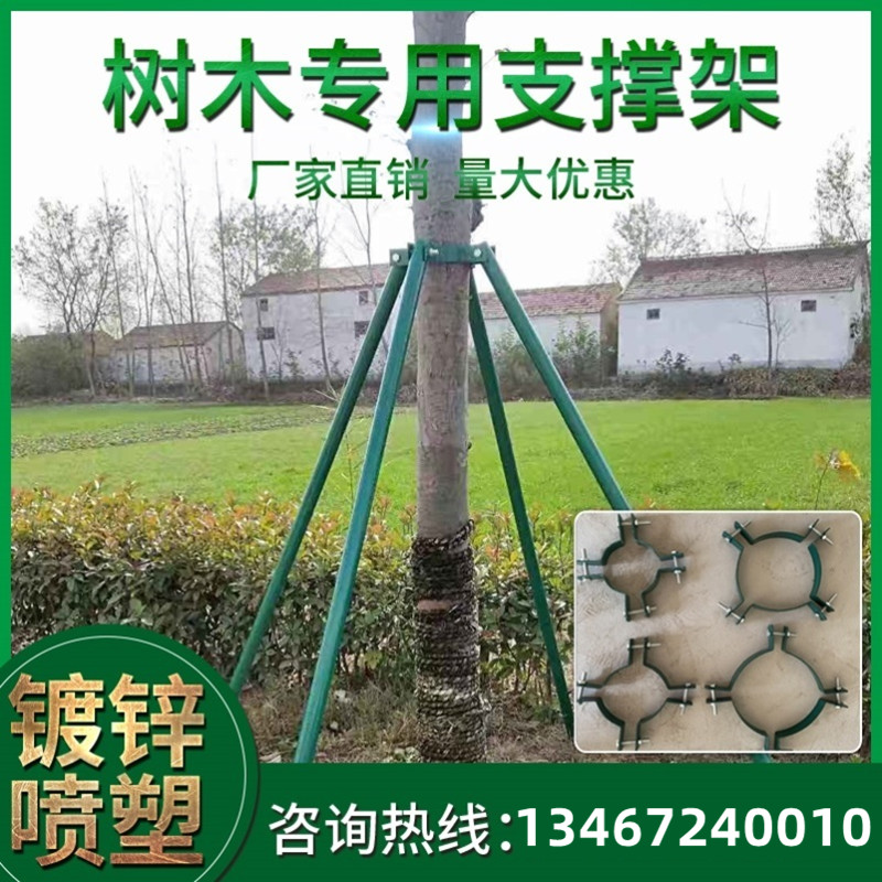 极速盐城树木支撑固定器s铁抱箍镀锌烤漆钢管防风支伸缩杆绿化行