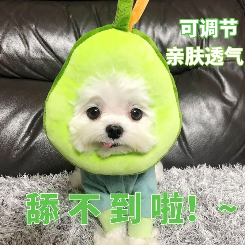 速发伊丽猫白育圈狗脖圈莎咪防舔绝软圈头套耻辱圈