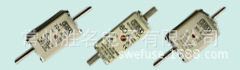 SIBA NH00 熔断器 西霸 保险丝 2020913 100A ~690V gL gG 原装