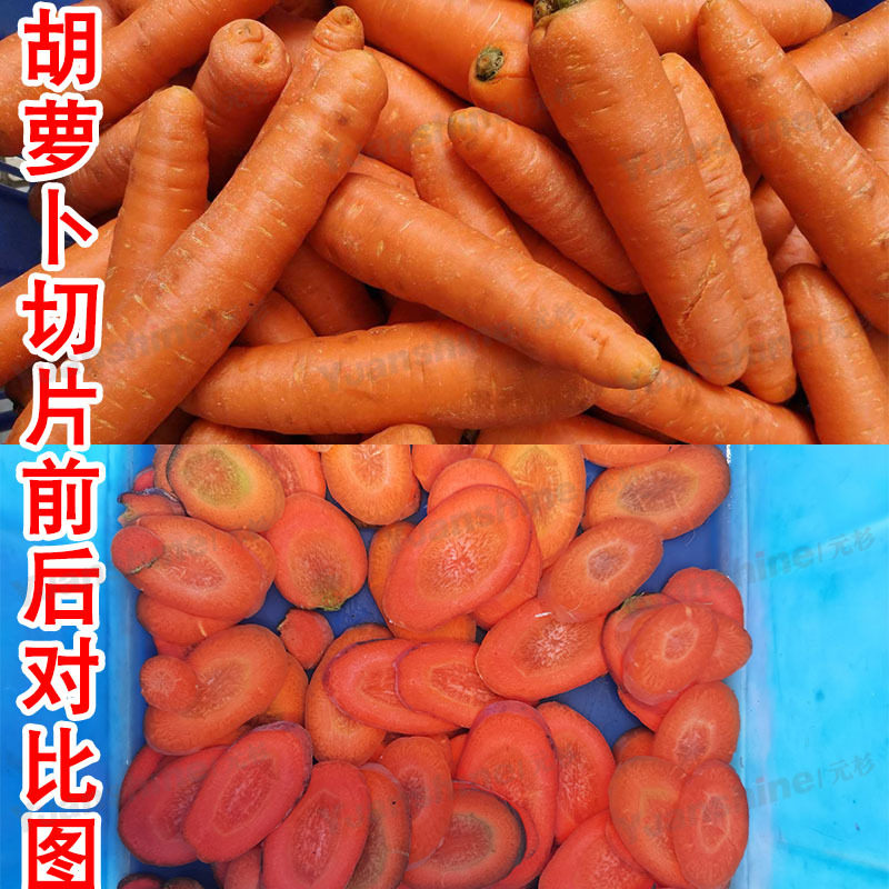 多功能薯片切片机 全自动水果切片机 天麻人参下压式切片机