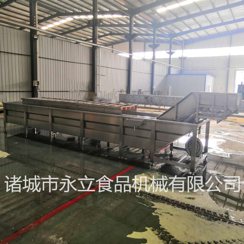 全自动番茄辣椒茄子气泡清洗机 菜椒清洗漂烫风干流水线 洗虾机器