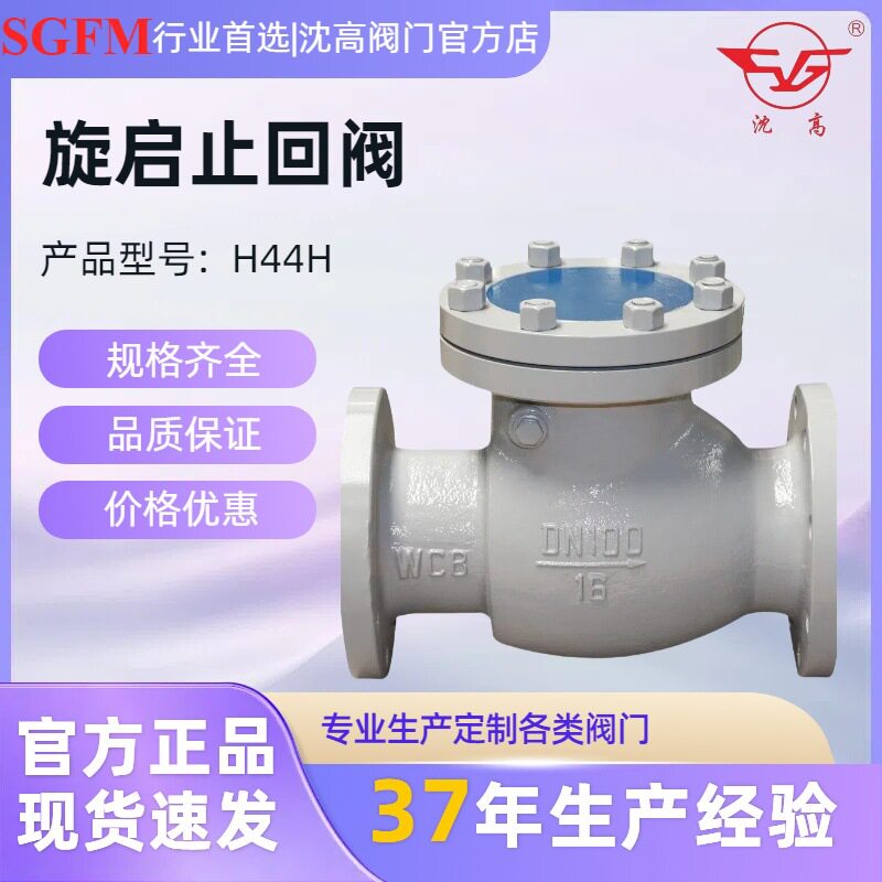 导热蒸汽单向阀油 H44H-16C旋启止回阀铸钢高温式逆止回DN200 600