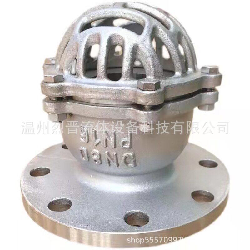 新款304不锈钢法兰底阀H42W-6P/10P/16P水泵吸水止回阀升降式底阀图片