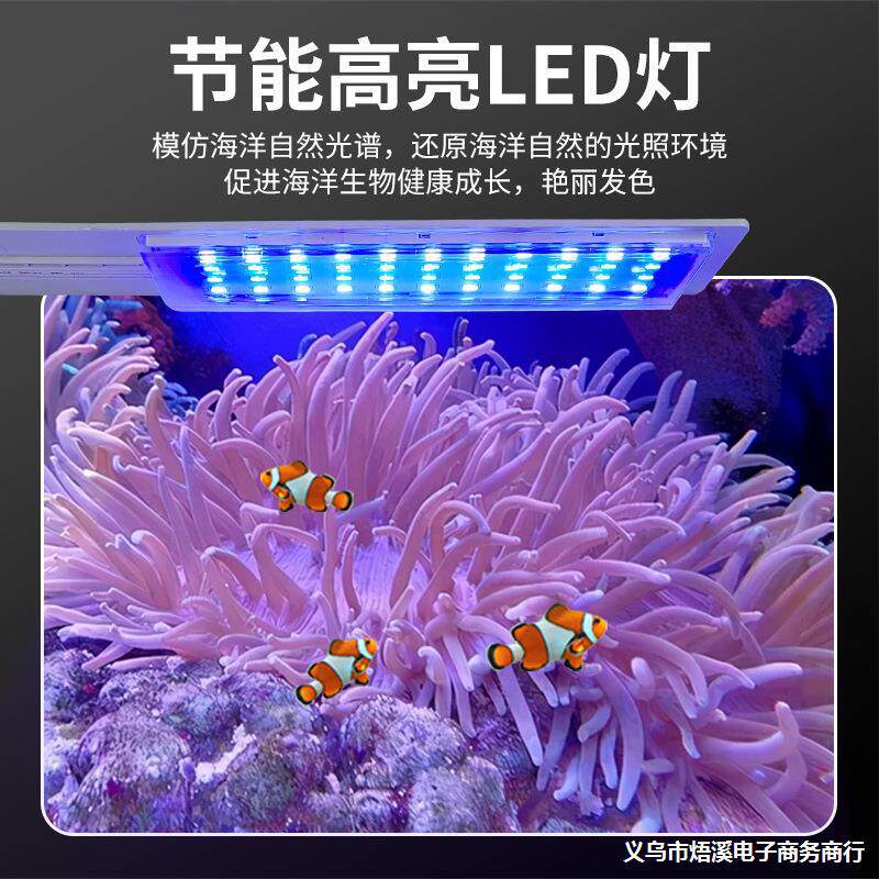 背部自循环过滤静音海水缸卧室客厅家用小型海水缸免换水海水鱼缸