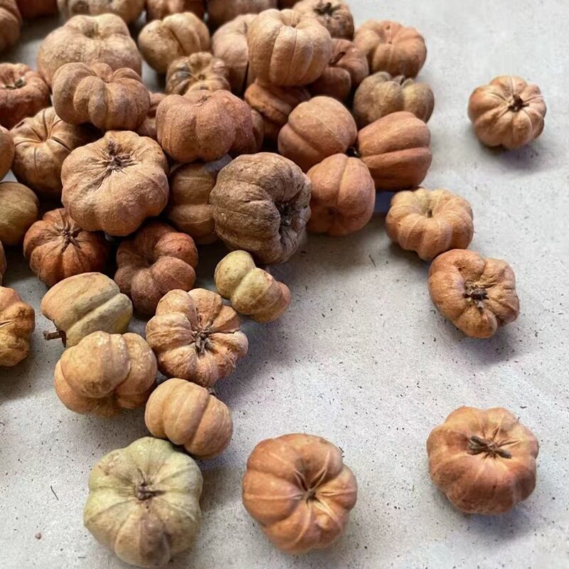 天然进口迷你小南瓜   干果 干花装饰插花天然植物家居摆设 工艺
