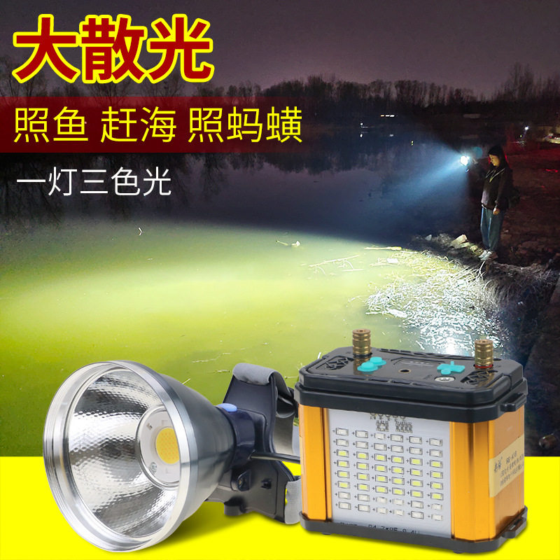 超亮散光照蚂蟥水蛭头灯大光斑抓蛐蛐夜钓赶海照黄鳝