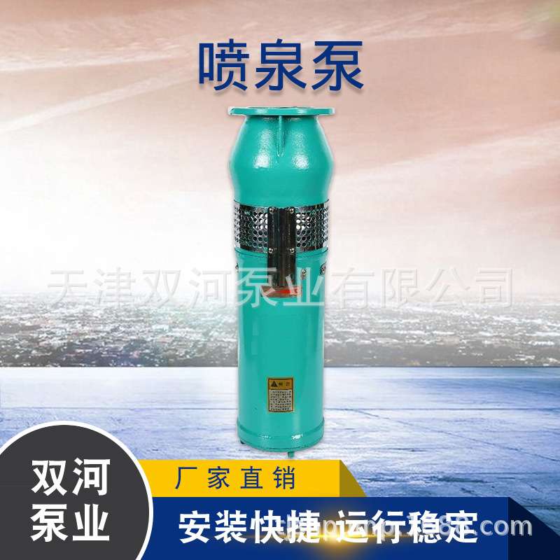 QSP喷泉泵 316景观喷泉泵 耐腐蚀喷泉专用泵 不锈钢304喷泉泵