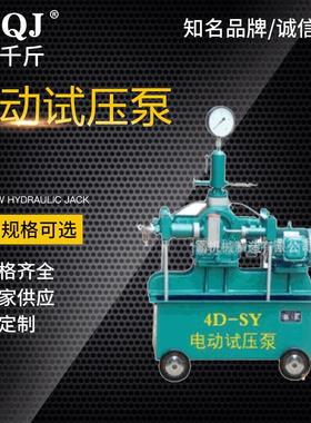 厂家供应DSB-2.5B手提试压泵 小型试压泵 手提式电动试压泵4DSB