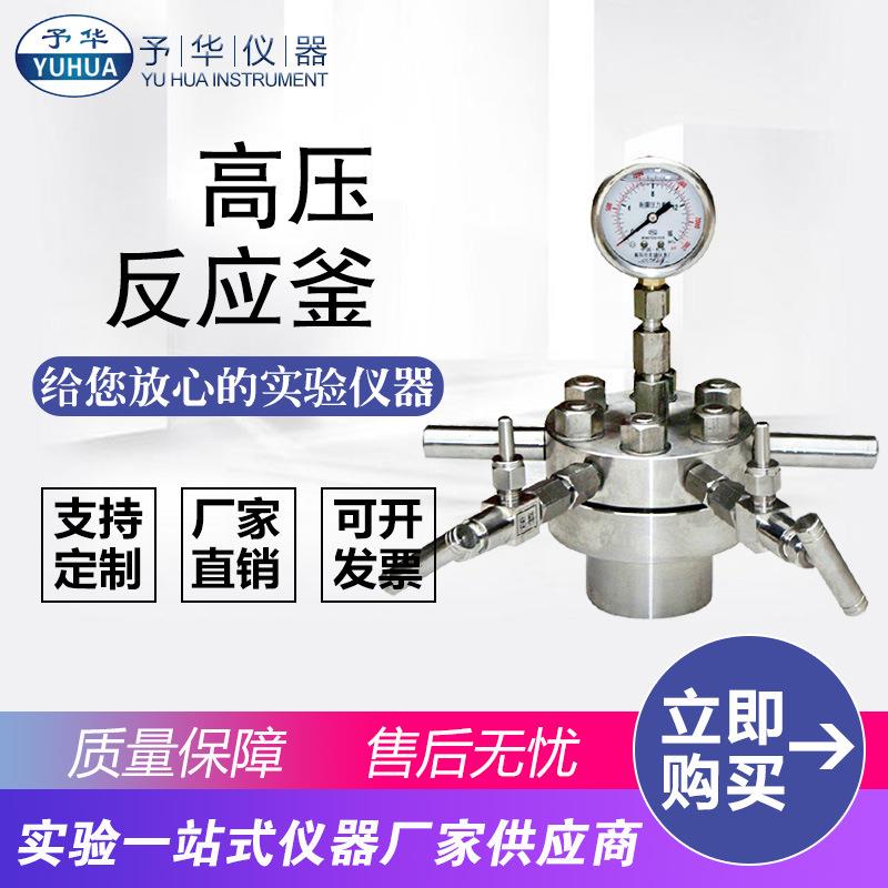 厂家直销CF-0.1L0.2L0.25L0.3L0.5L简易型不锈钢高压反应釜