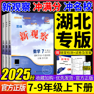 2025秋湖北专版思维新观察七八九年级上下册数学人教版同步课时作业专题训练课堂练习册测试卷专项训练培优练习册必刷题含参考答案