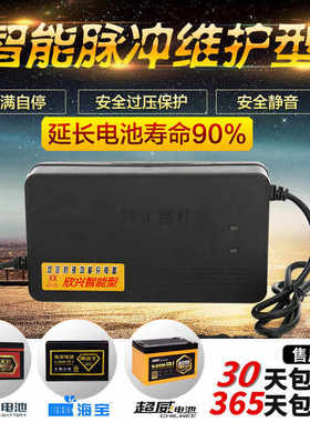 极速电动三轮车车两轮电动车充电器48V20AH60V30AHO64V72伏50安84