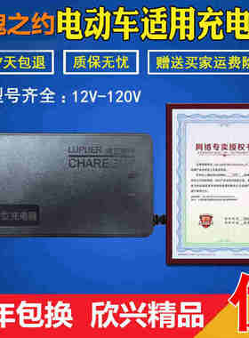 极速玫瑰之约电动车充电器原装24V48V12AHE60V64V72V84V96V20AH通