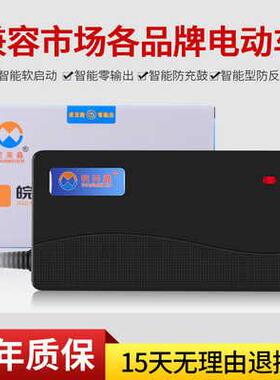 极速原装电动车电瓶充电器36V12AH48V20AH6G0V30AH64V40AH72V50AH