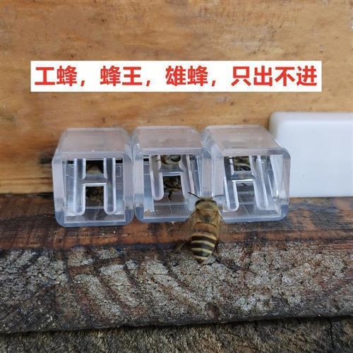 极速蜜蜂单向门工蜂只出不进DIY树洞蜂蜂王P巢门野外捕蜂工具推荐