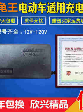 极速小龟王电动车充电器原装24V48V12AH60V64V72NV80V84V96V20AH