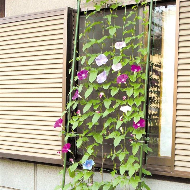 极速花架爬藤架藤架植物铁线莲月季铁艺I支架葡萄攀爬阳台庭院室