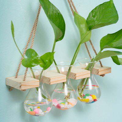 极速墙上花盆架麻绳挂墙花瓶室内壁挂水培植物容器办公Z室墙面装