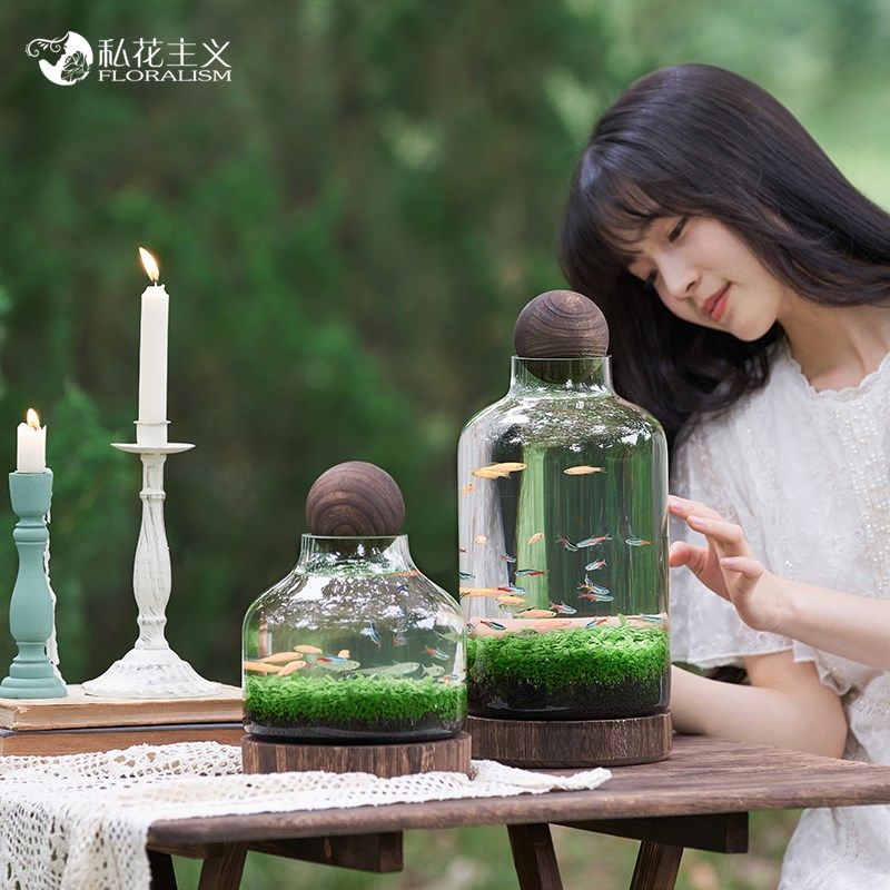 极速生态瓶鱼缸玻l璃微景缸免换水免打理办公桌面创意造景观鱼缸,鲜花速递/花卉仿真/绿植园艺,绿植,淘宝优惠券,粉丝福利购,淘宝优惠卷