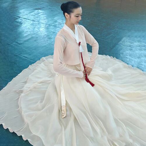 新品朝鲜族e舞蹈服装女练功服上衣裙套装表演演出服民族民间舞