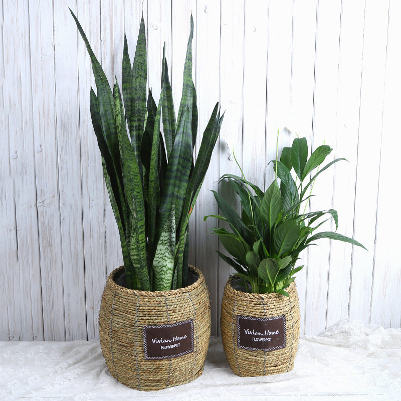 极速新品厂家货源藤编花篮吊篮花盆 客厅L绿植花盆家居装饰品室内,鲜花速递/花卉仿真/绿植园艺,花瓶,淘宝优惠券,粉丝福利购,淘宝优惠卷