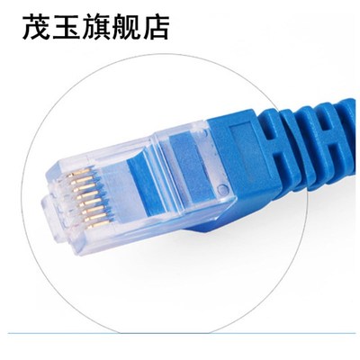极速3.3ft eft Blue Ethernet Internet LAN CAT5e Network Cable