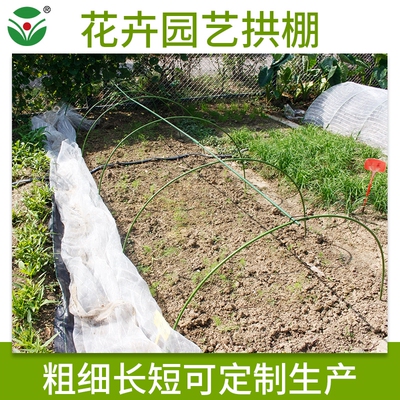 极速盆景透明菜蔬室外绿植塑料大棚D椭圆管防雨家用院子雨罩骨架