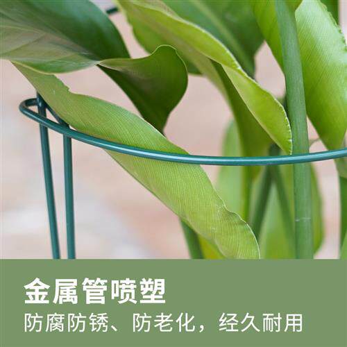 极速铁艺花架蟹爪兰植物支撑半圆绣球月季爬藤固S定花支架单杆护