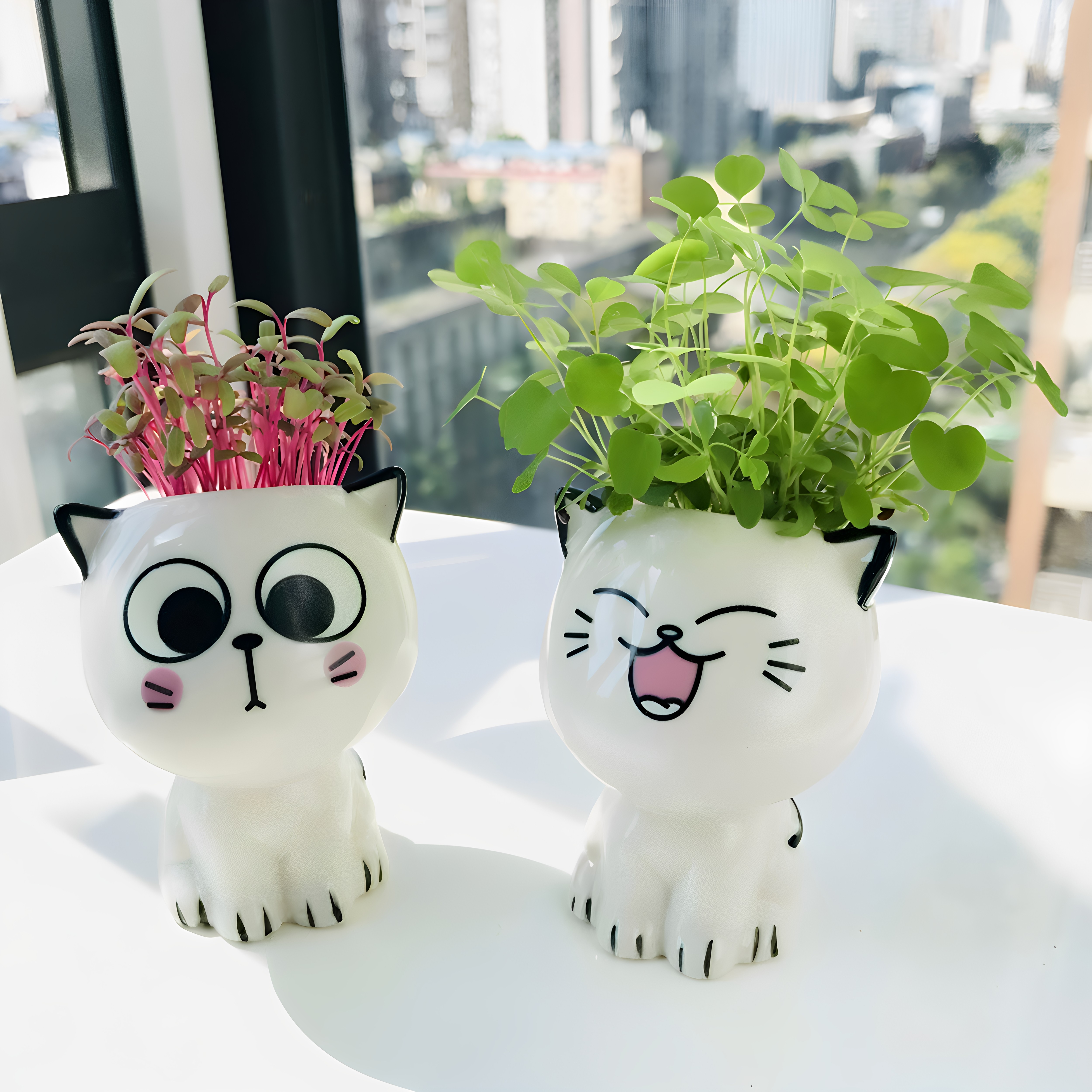 可爱猫咪小草盆栽陶瓷种植高颜值