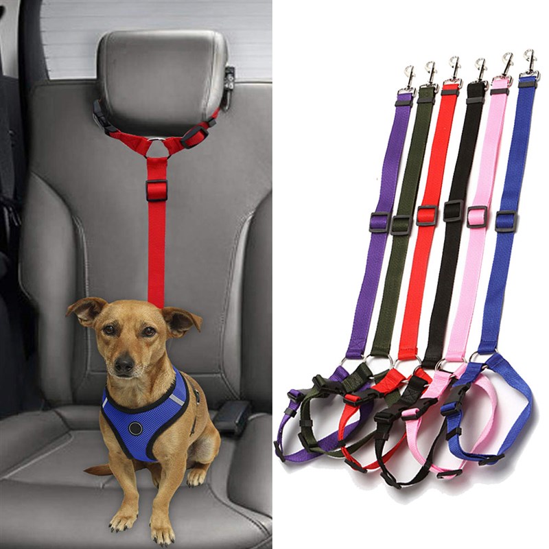 现货速发Pet Products Uivers Pract  Dog Sety Adable C