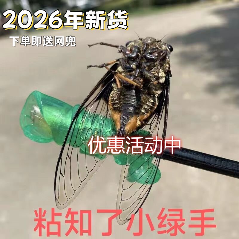 粘知了胶圆球捕蝉工具绿圆球粘灰尘粘粘球抓知了猴手粘性玩具神器