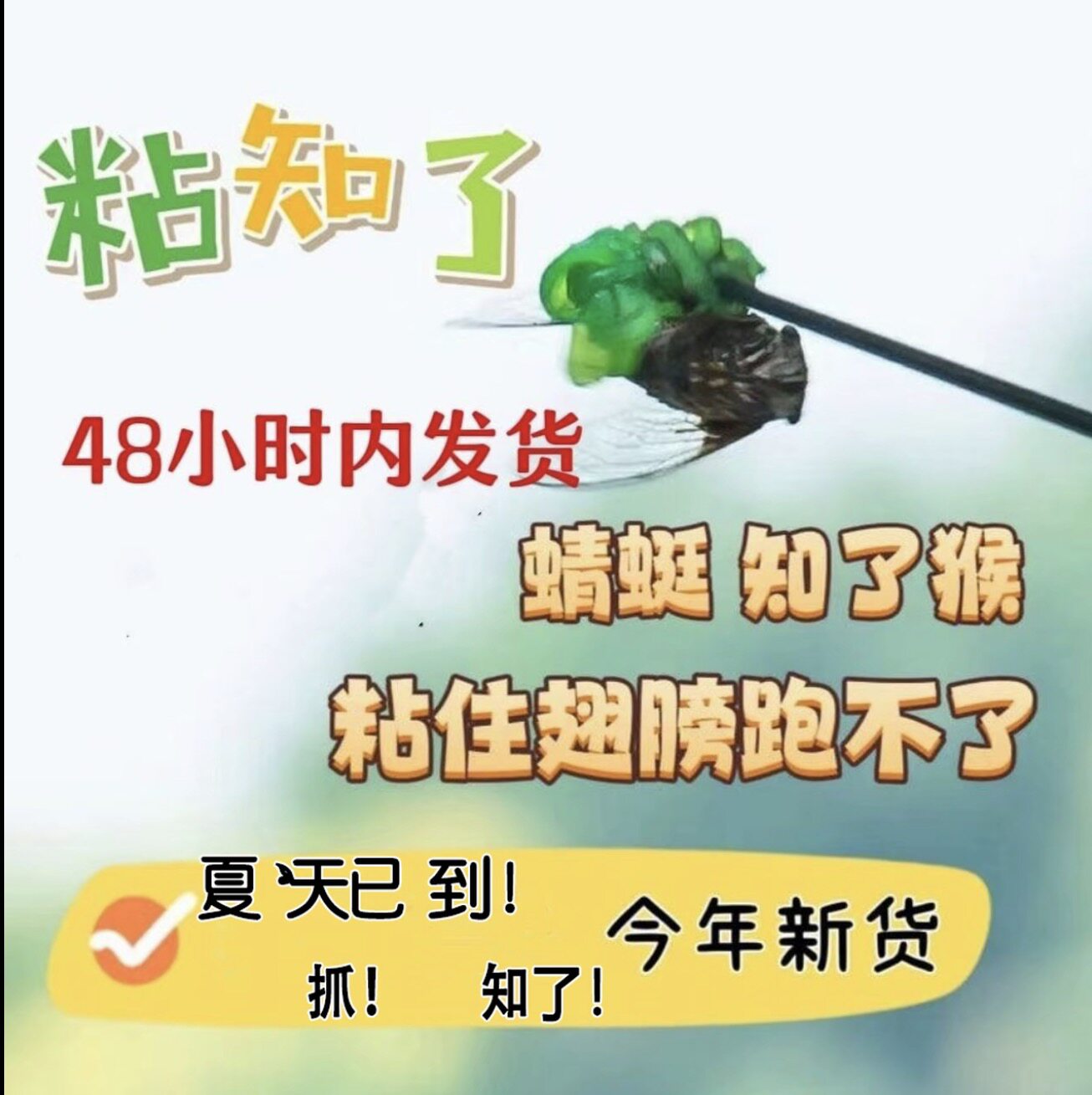 夏季户外解压高粘球捕蝉神器手掌