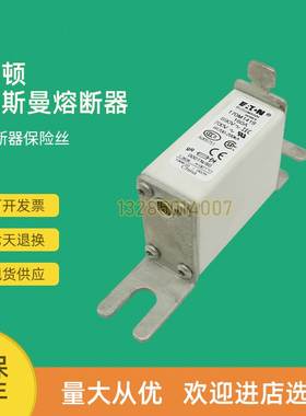 极速快速熔断器保险170M1485 170M1487 G170M1488 170M1508议价